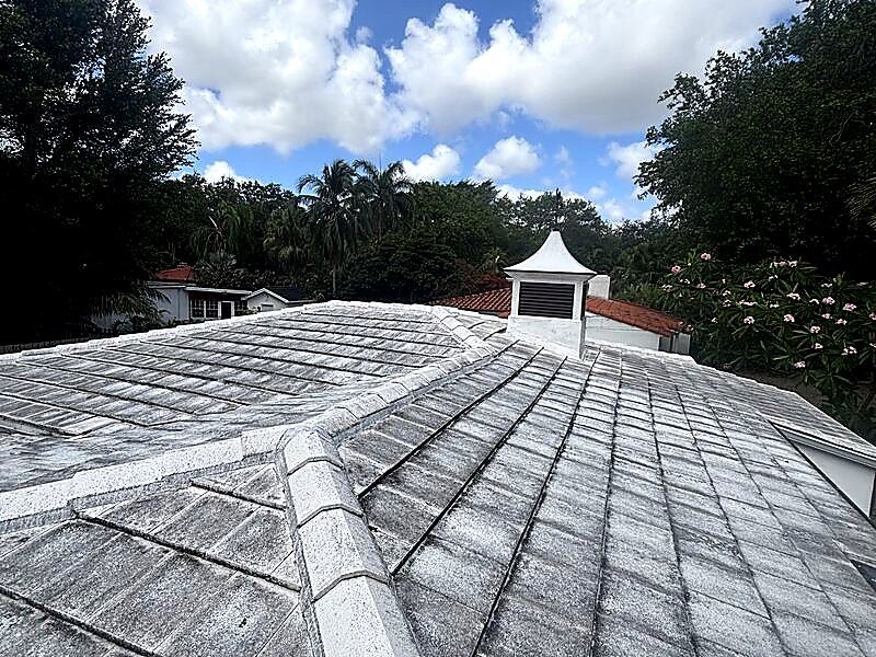 Before - Roof Cleaning